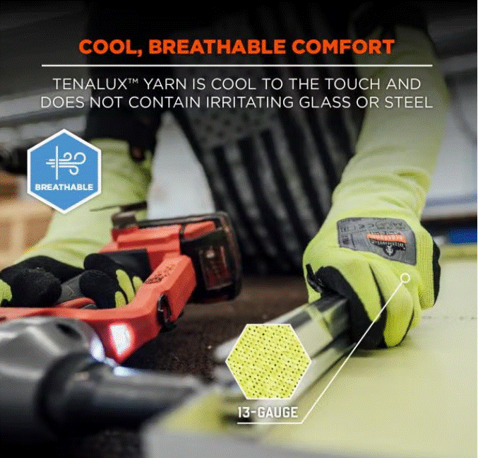 ERG- 17812 ERG-17813