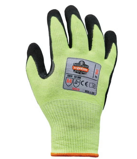 ERG- 17812 ERG-17813