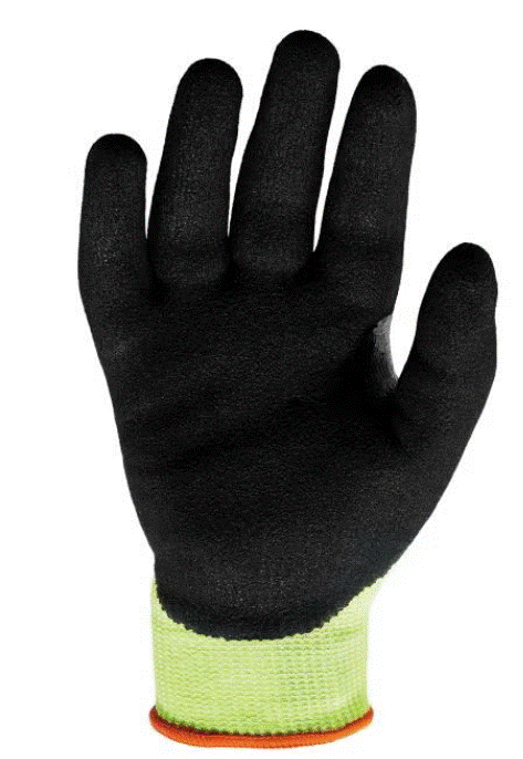 ERG- 17812 ERG-17813