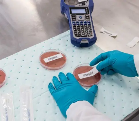 image - 2025-08-05T145034.751.webp