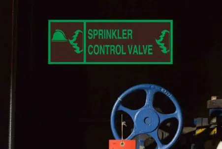 image - 2025-08-14T154109.433.webp