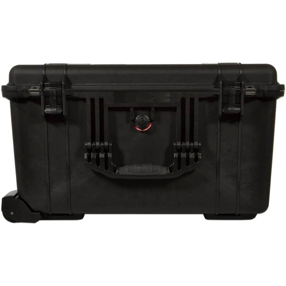 DLB-DLTM-CASE