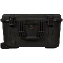 DLB-DLTM-CASE