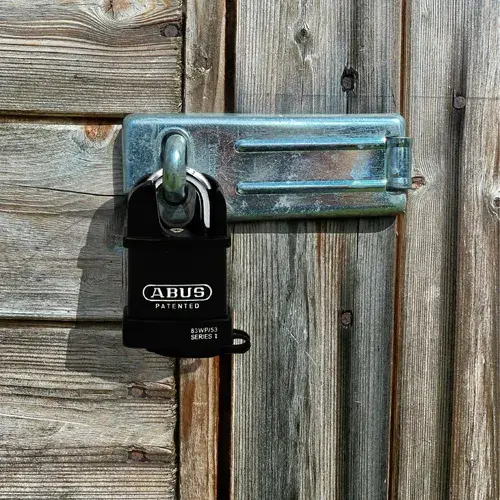 D_NQ_NP_733315-MLM79109650534_092024-O-candado-abus-83wpcs53-alta-seguridad-para-exterior.webp